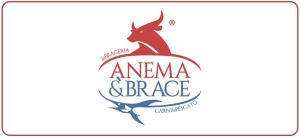 LA BRACERIA ANIMA E BRACE