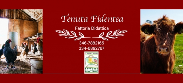 Tenuta Fidentea