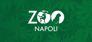 ZOO DI NAPOLI